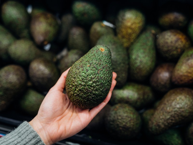 Foto einer Frauenhand die eine gr&uuml;nde Avocado h&auml;lt, im Hintergrund viele Avocados