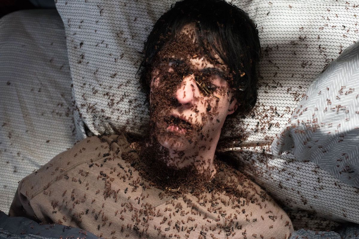 Die besten Horrorfilme: Hereditary Die besten Horrorfilme: Hereditary