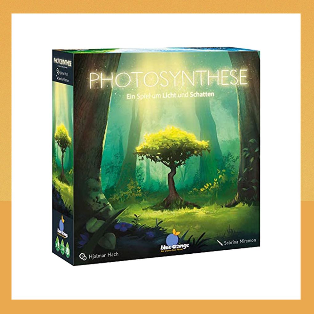 Brettspiele für Erwachsene: Photosynthese – Ein Spiel um Licht und Schatten Brettspiele für Erwachsene: Photosynthese – Ein Spiel um Licht und Schatten