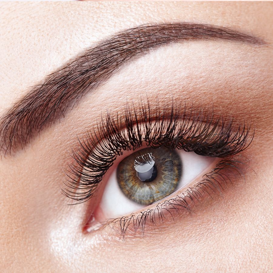 Wimpernwelle Wimpernwelle
