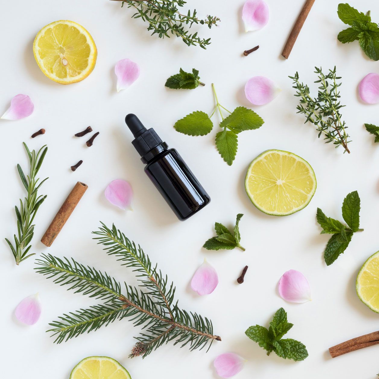 Flatlay mit Gew&uuml;rzen und Kr&auml;utern als Symbolbild f&uuml;r &auml;therische &Ouml;le