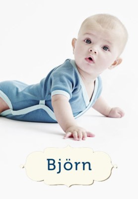 Babynamen: Björn - der Braune, der Bär