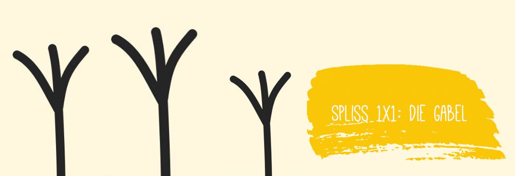 Spliss 1x1: Die Gabel Spliss 1x1: Die Gabel