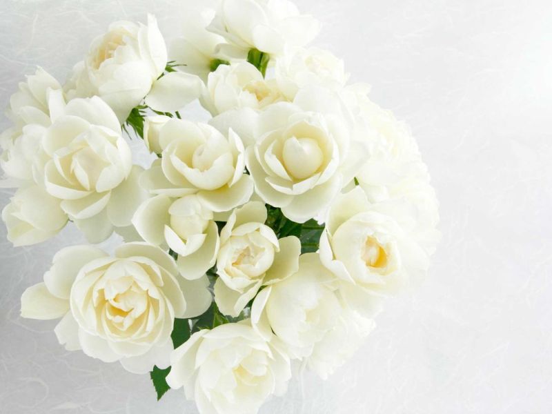 Die sch&ouml;nsten Ideen zum 14. Hochzeitstag
