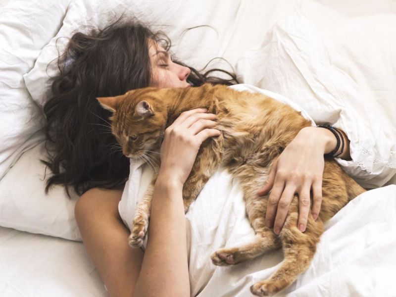 Katze im Bett schlafen lassen: Okay oder gef&auml;hrlich f&uuml;r die Gesundheit?