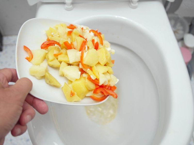 D&uuml;rfen Essensreste in die Toilette?