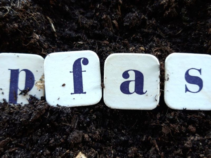 PFAS sind nicht nur in Gegenst&auml;nden wiederzufinden - denn die Chemikalien haben es bereits geschafft, in unseren K&ouml;rper einzudringen.