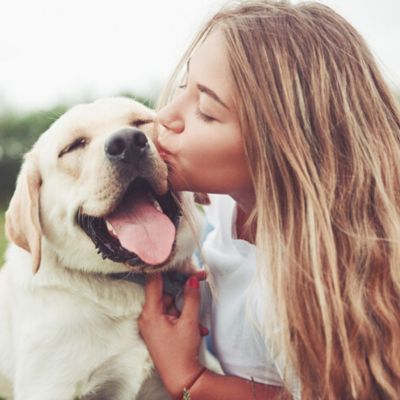 Der perfekte Hund f&uuml;r jedes Sternzeichen