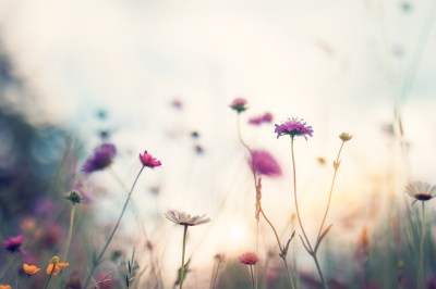 Vergiss Sternzeichen! Jetzt sind Geburtsblumen-Tattoos angesagt Vergiss Sternzeichen! Jetzt sind Geburtsblumen-Tattoos angesagt