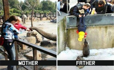 Der Besuch im Zoo Der Besuch im Zoo