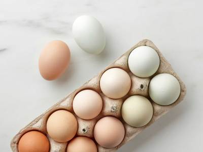 Eier frische rohe Bio-Eier