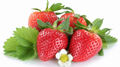 Reife Erdbeeren als nat&uuml;rliche Quelle f&uuml;r wertvolles Vitamin C.