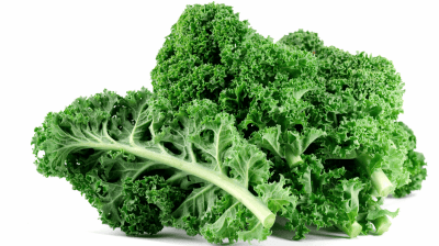Gr&uuml;ner Gr&uuml;nkohl als heimische, n&auml;hrstoffreiche Quelle f&uuml;r wertvolles Vitamin C.