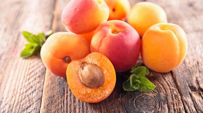 <strong>Aprikose: Juni - August </strong> Saisonkalender Obst: Aprikose