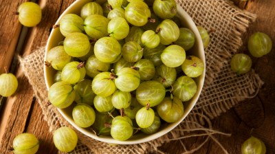 <strong>Stachelbeere: Juni - August </strong> Saisonkalender Obst: Stachelbeere