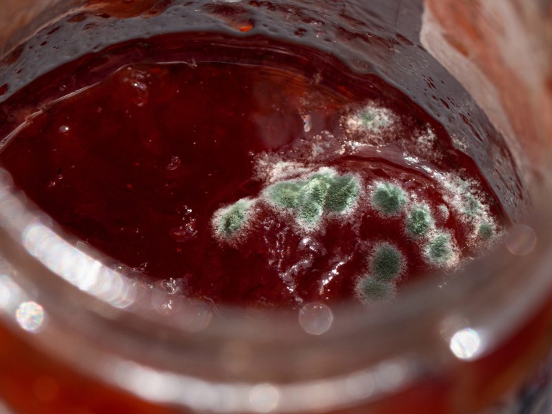 Schimmelige Erdbeerkonfit&uuml;re in einem Glas.