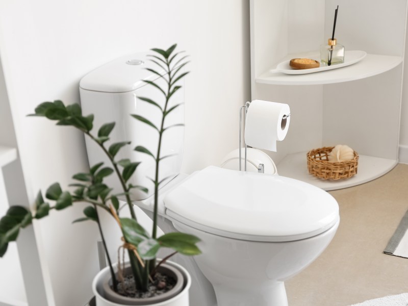 Toilette in Badezimmer
