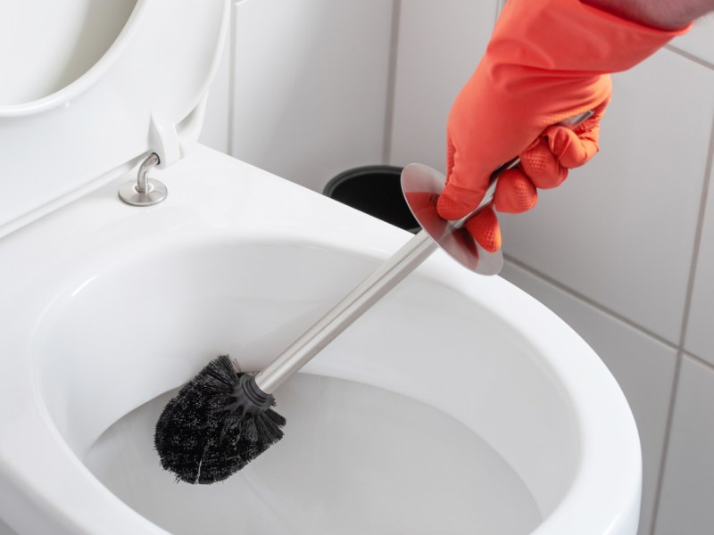 Eine Person nutzt die Klob&uuml;rste, um damit die Toilette zu putzen.