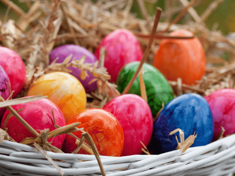 Bunt gefärbte Ostereier in einem Osternest.