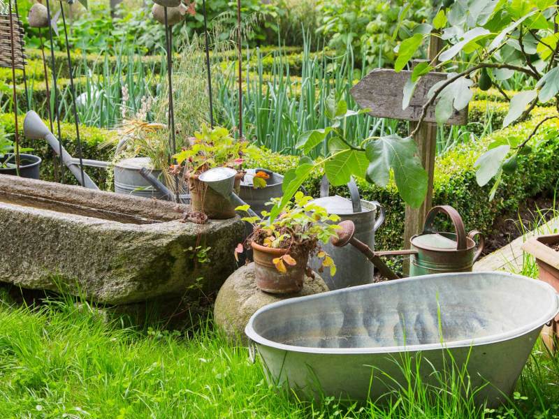 Blick in Garten mit Trog und Gem&uuml;sebeet