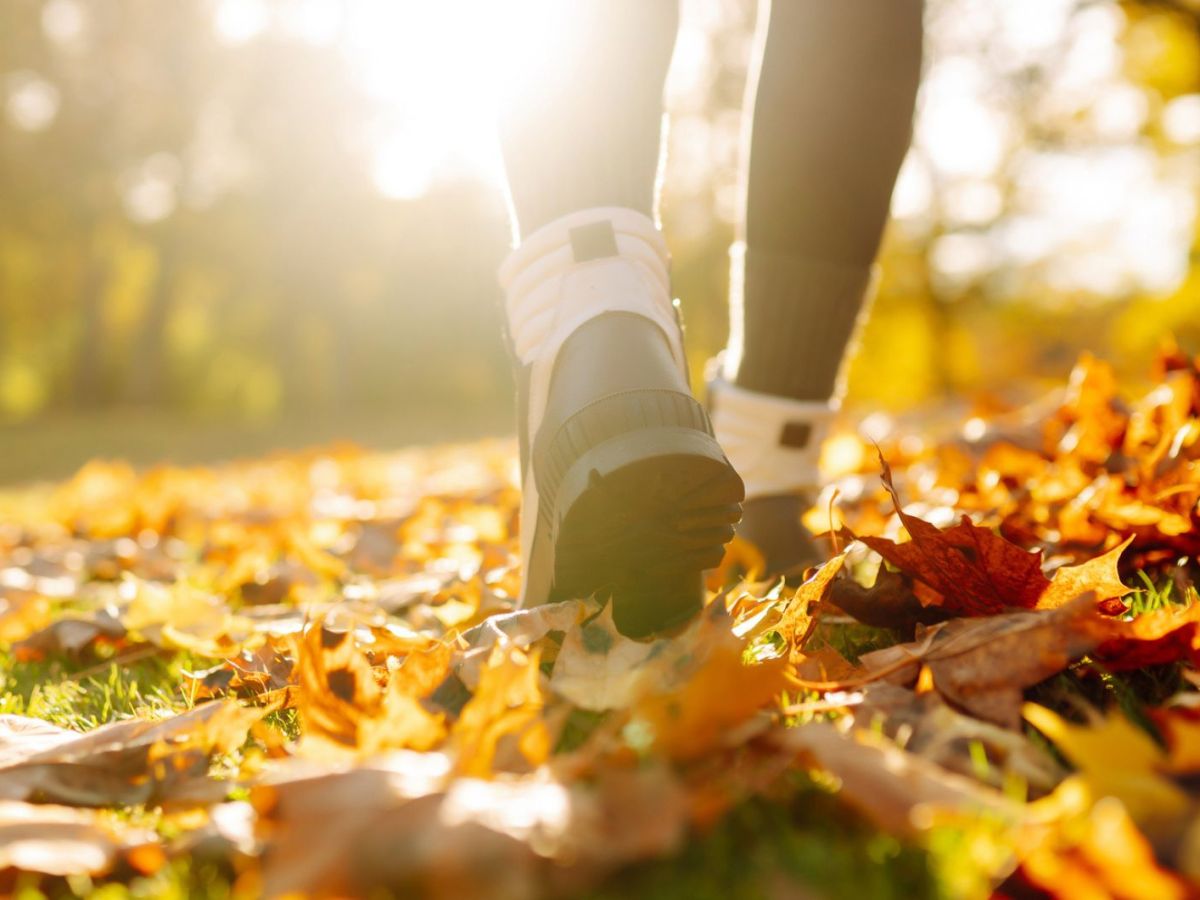 Frau mit Wanderschuhen l&auml;uft durch den Wald im Herbst.