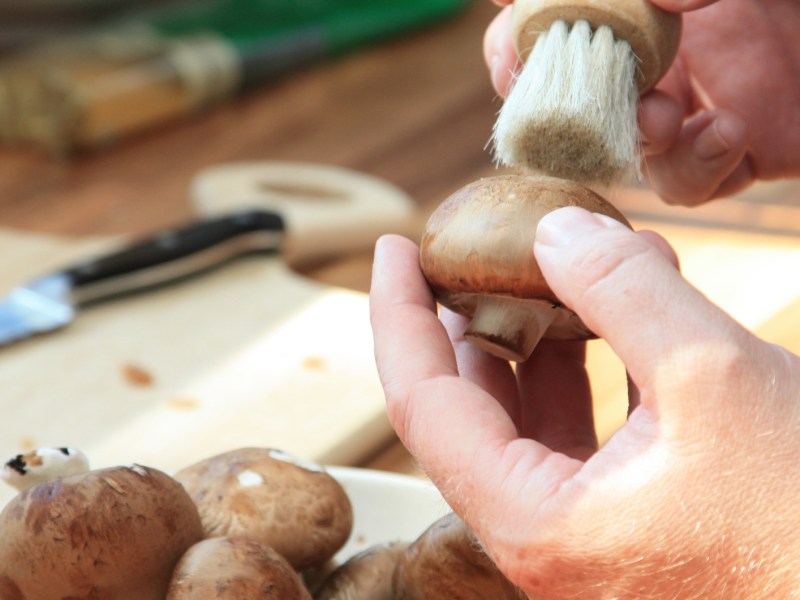 Person putzt Pilze mit einer kleinen B&uuml;rste.
