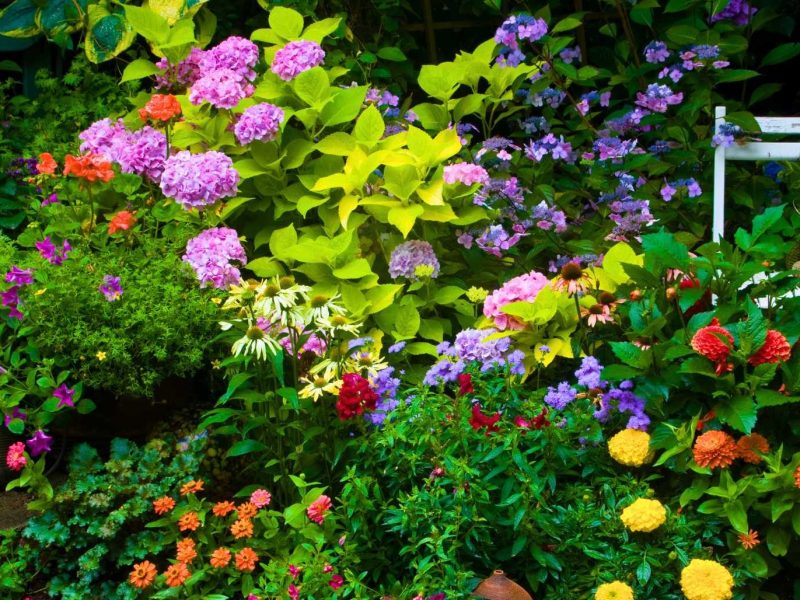 Bunt bl&uuml;hender romantischer Garten