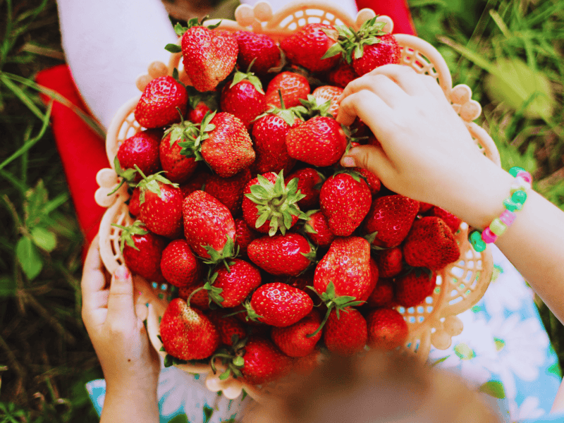 Kind sitzt mit gro&szlig;er Schale Erdbeeren auf dem Scho&szlig; in der Wiese