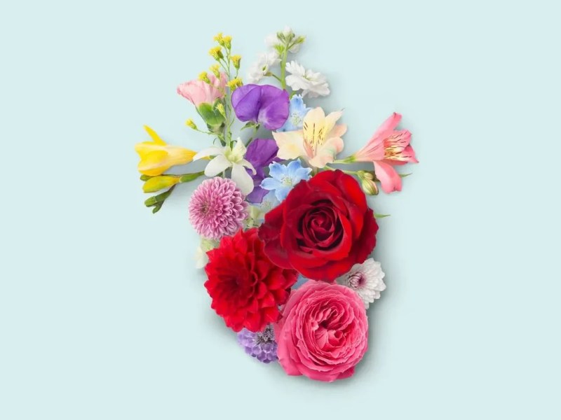 Bl&uuml;ten in der Form eines Herzens, Symbolbild f&uuml;r Durchblutung f&ouml;rdern