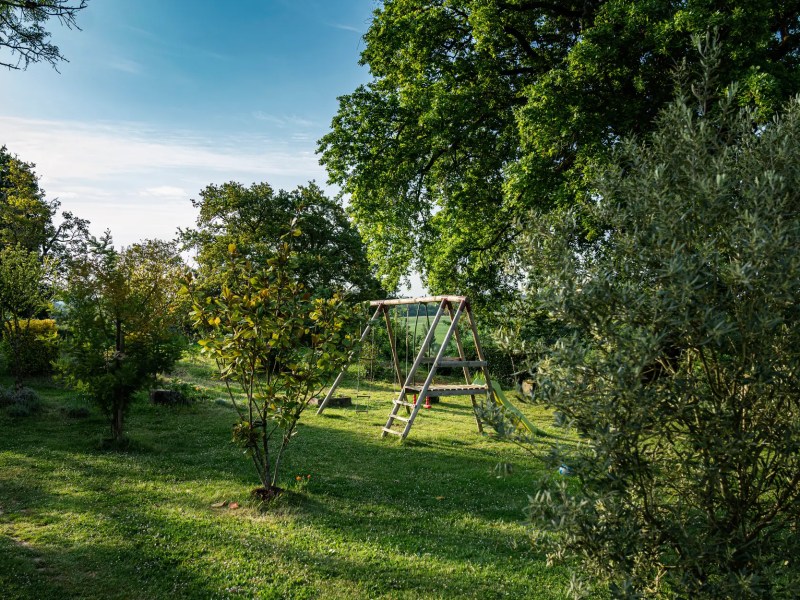 Garten mit immergrünem Baum und Schaukel